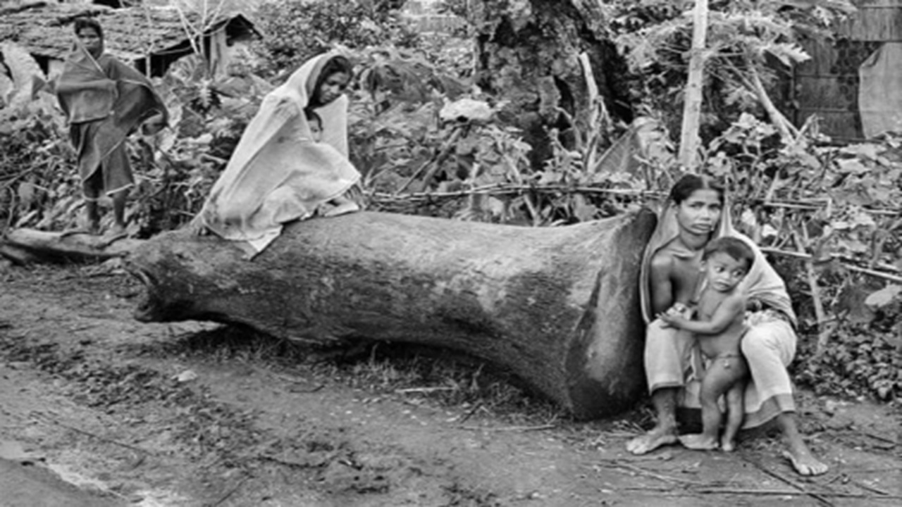 পাক হানাদার বাহিনী যেভাবে বাঙালিদের উপর নির্যাতন করত | ছবি: সংগৃহীত (মুক্তিযুদ্ধ-ই-আর্কাইভ)